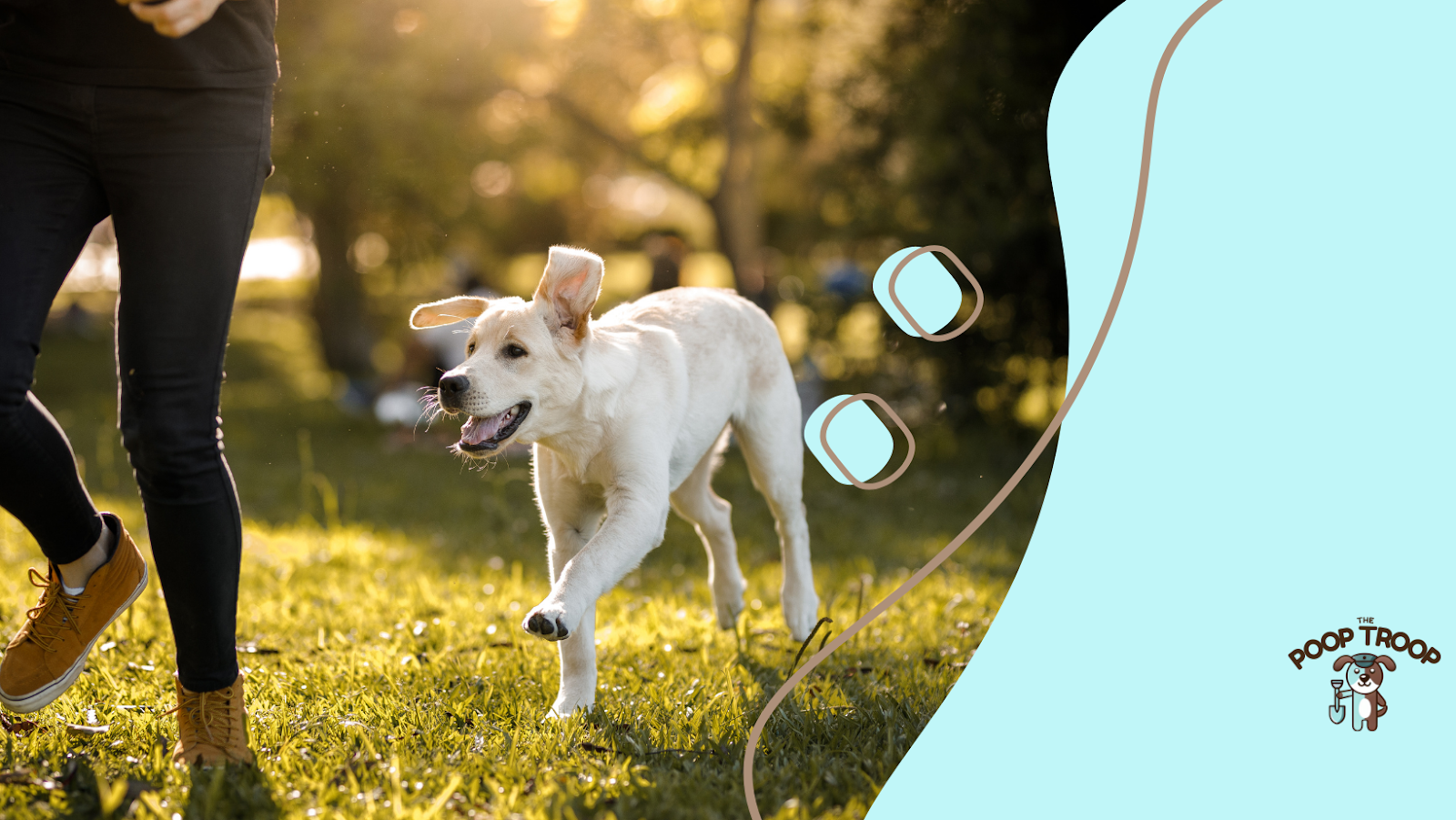 The Poop Troop - Photo 3