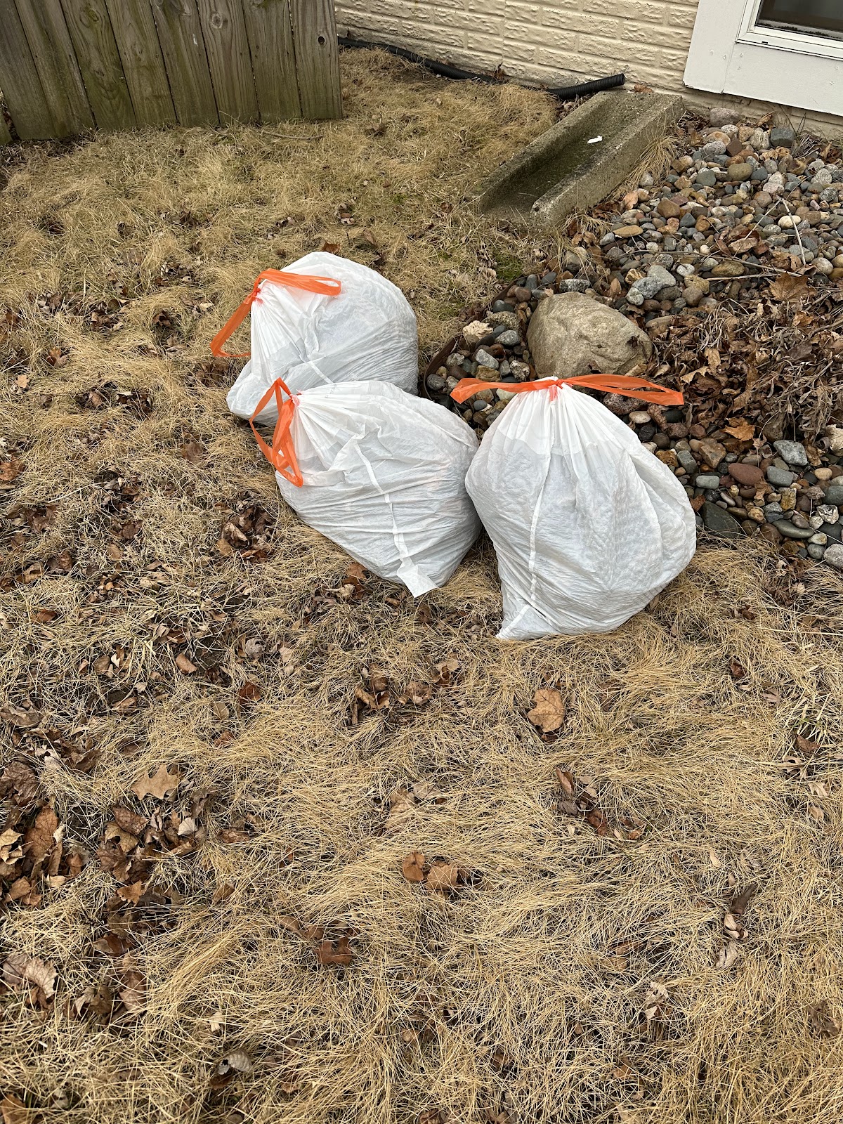 Iowa Pet Waste Removal - Photo 2