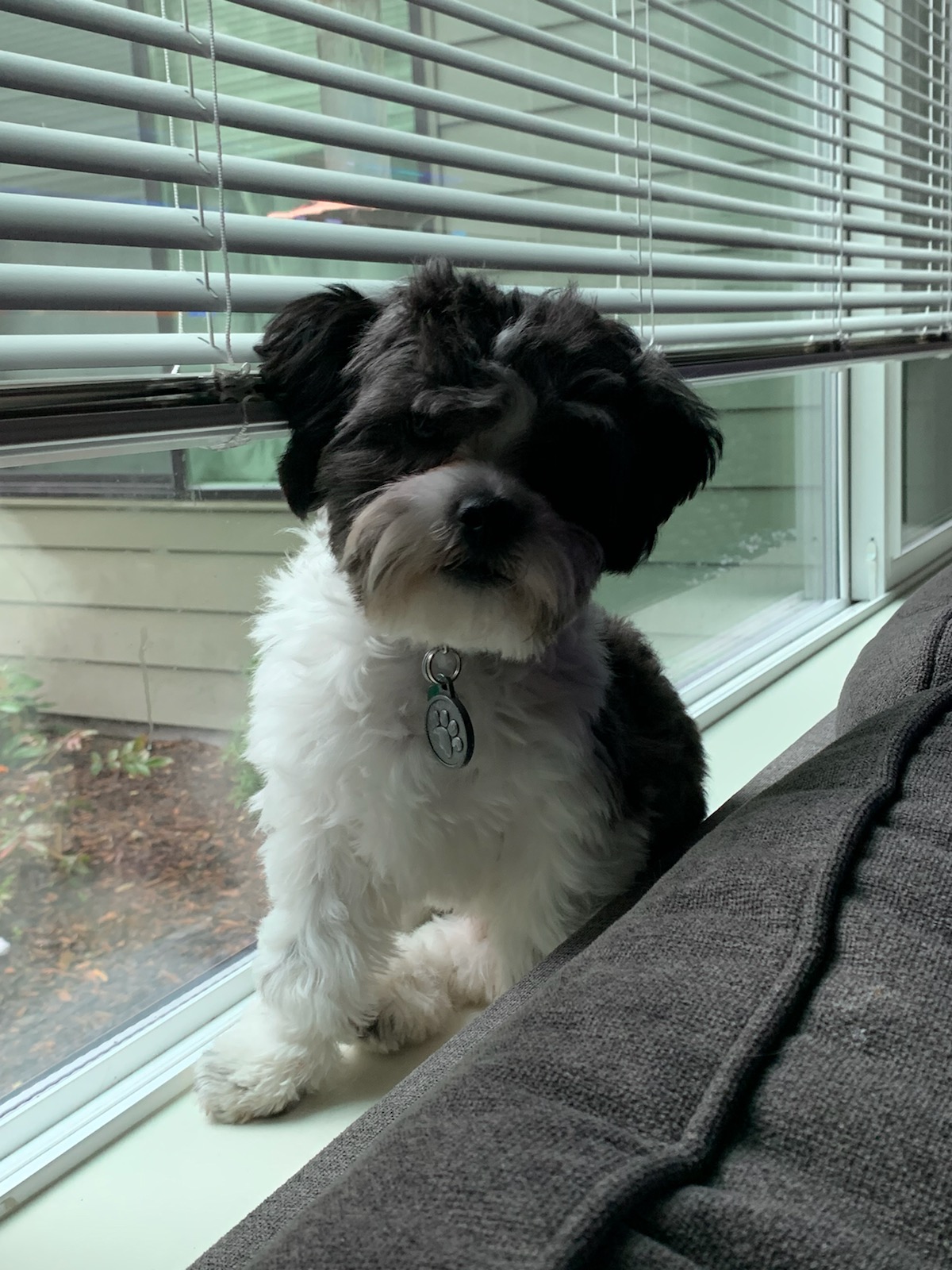 Poop Squad LLC - Photo 2