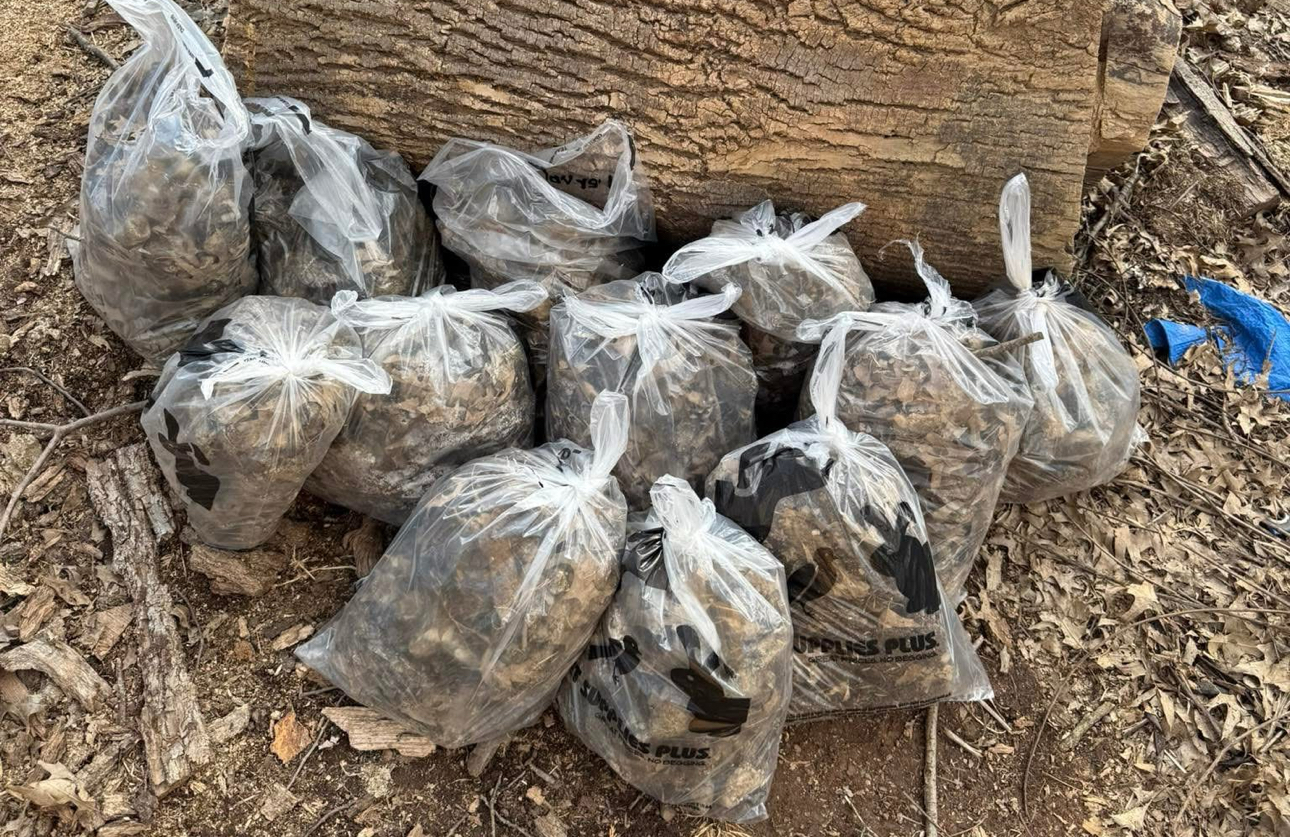 WE SCOOP POOP - Photo 4