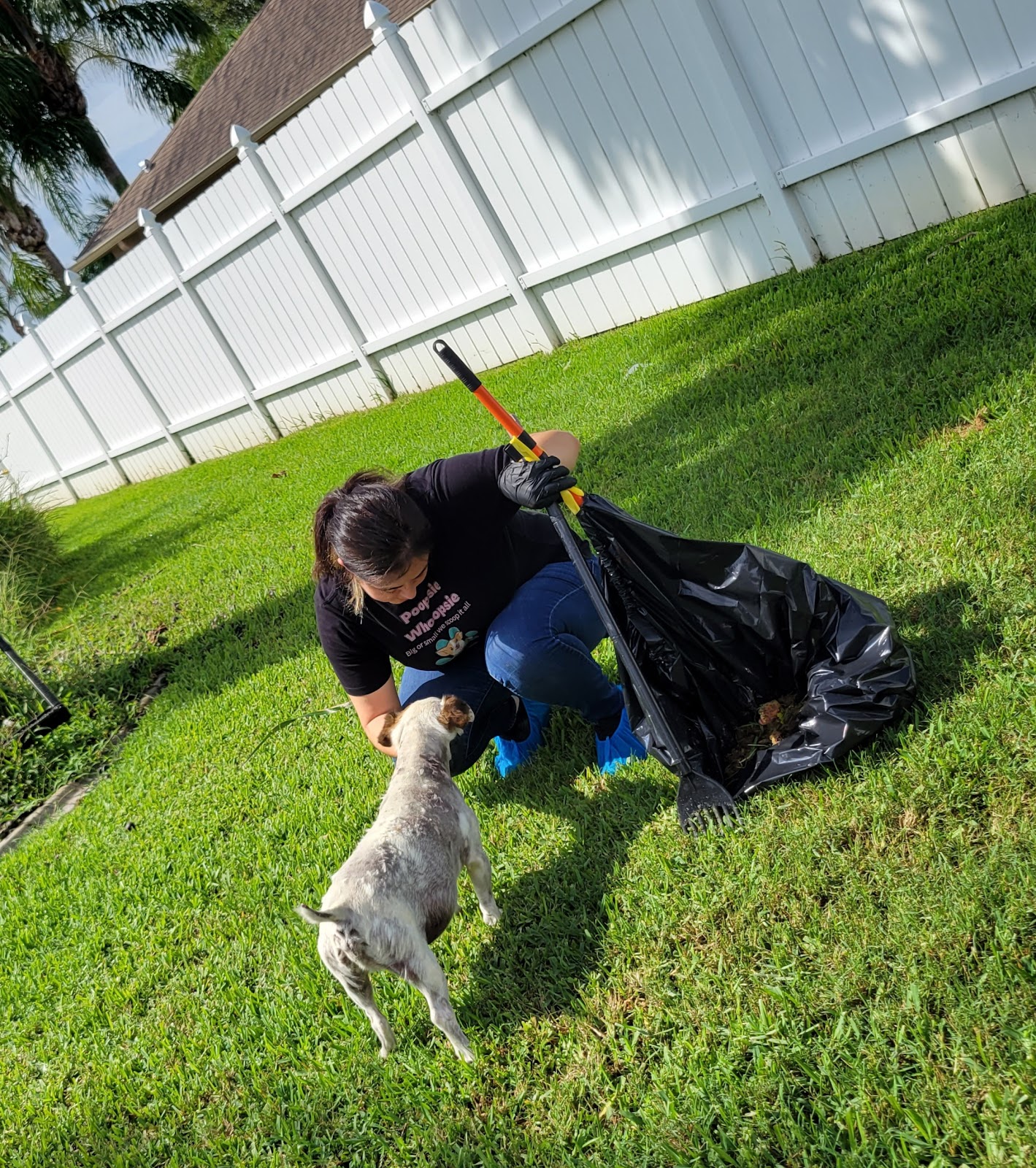 Poopsie whoopsie - Photo 3