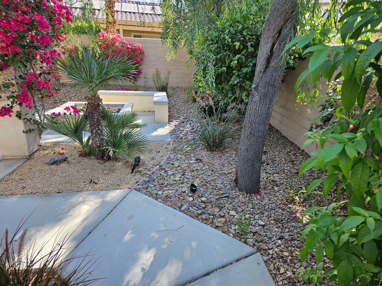 K9 Minesweepers Dog Waste Removal - Photo 2