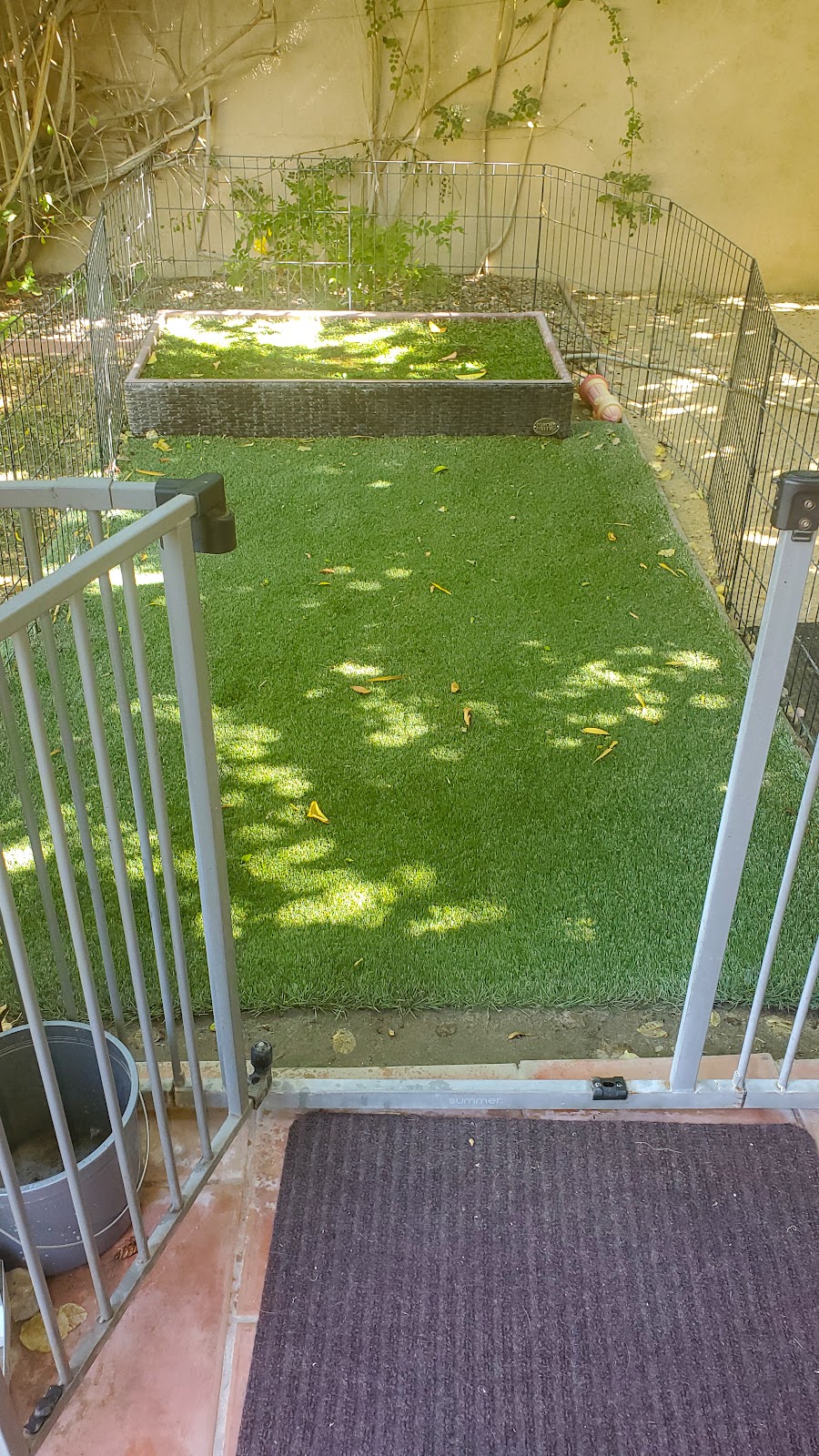 K9 Minesweepers Dog Waste Removal - Photo 3