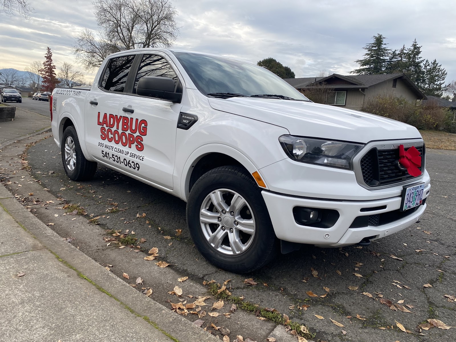 Ladybug Scoops Dog Waste Cleanup Service