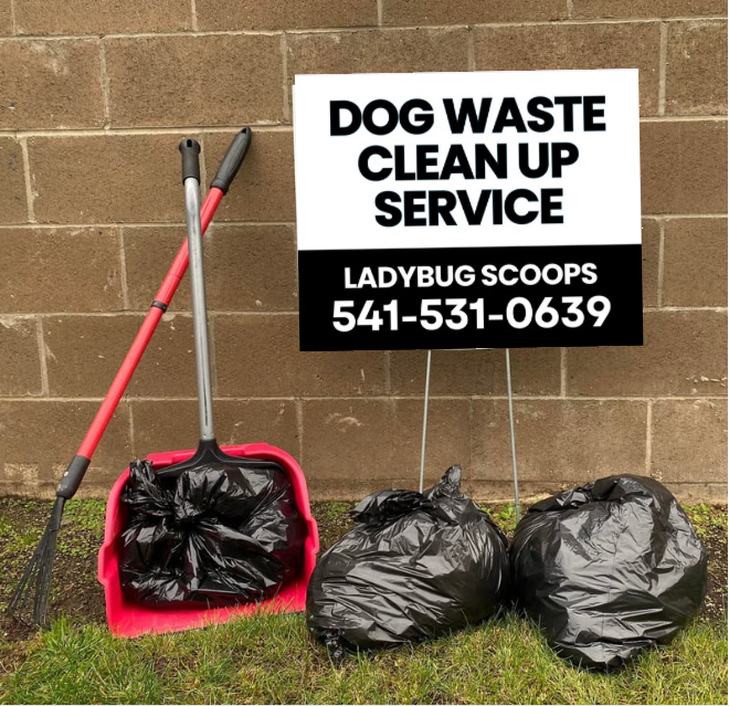 Ladybug Scoops Dog Waste Cleanup Service - Photo 3