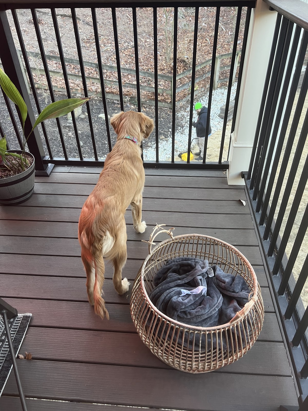 DoodyCalls® of Marietta - Photo 4