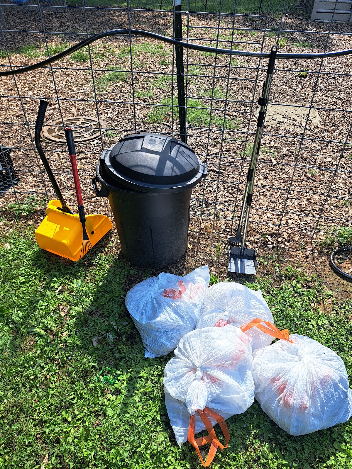 Scoopin'Up - Photo 3