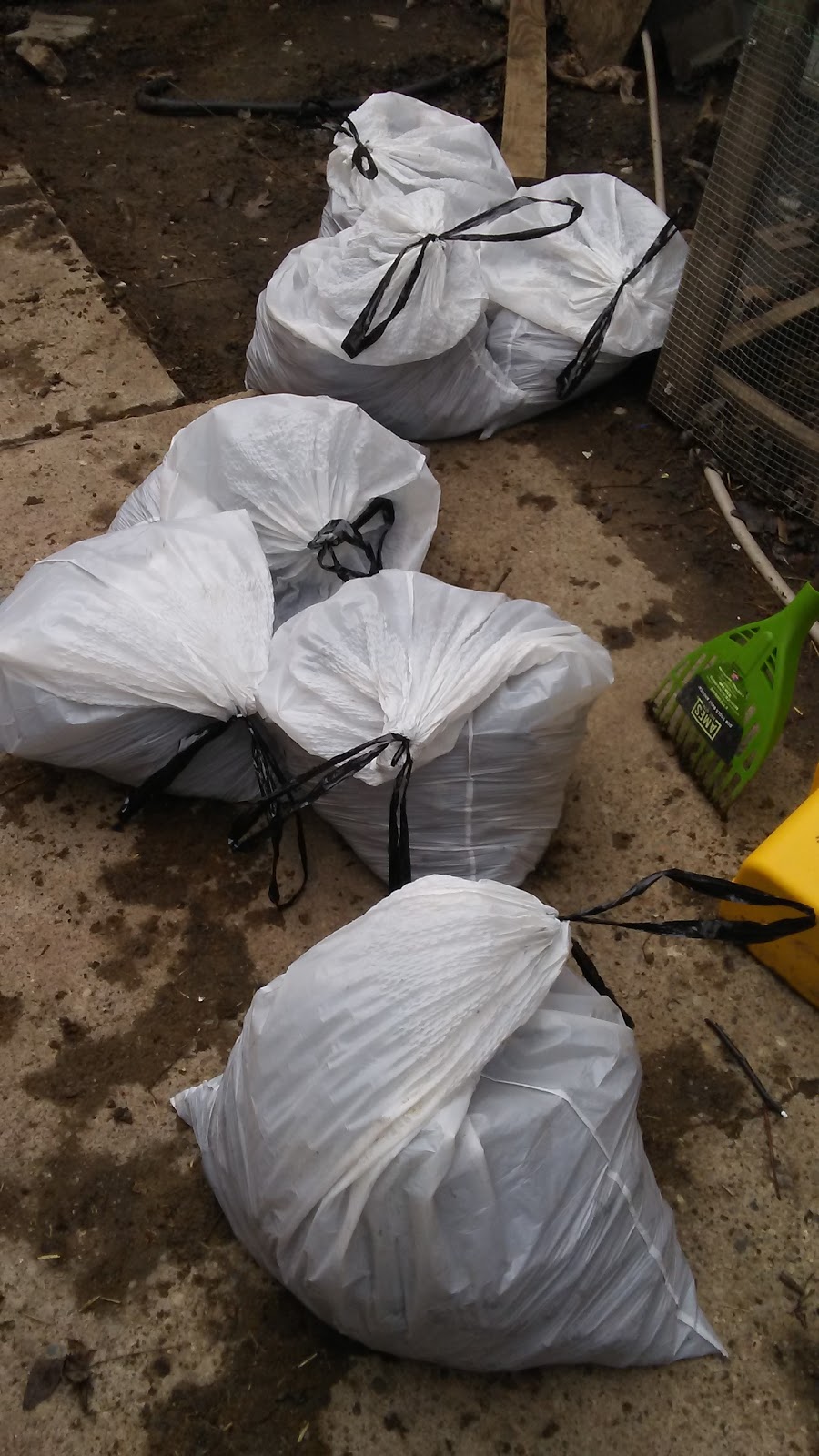 Turd Burglar Animal Waste Removal