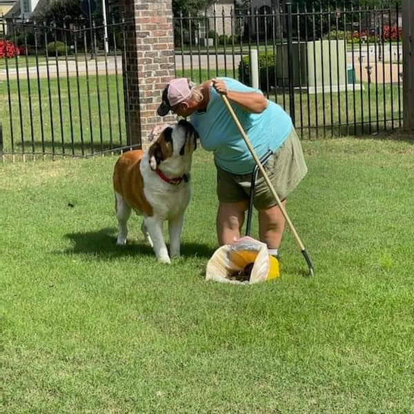 Little Stinkers Pet Waste Removal Service