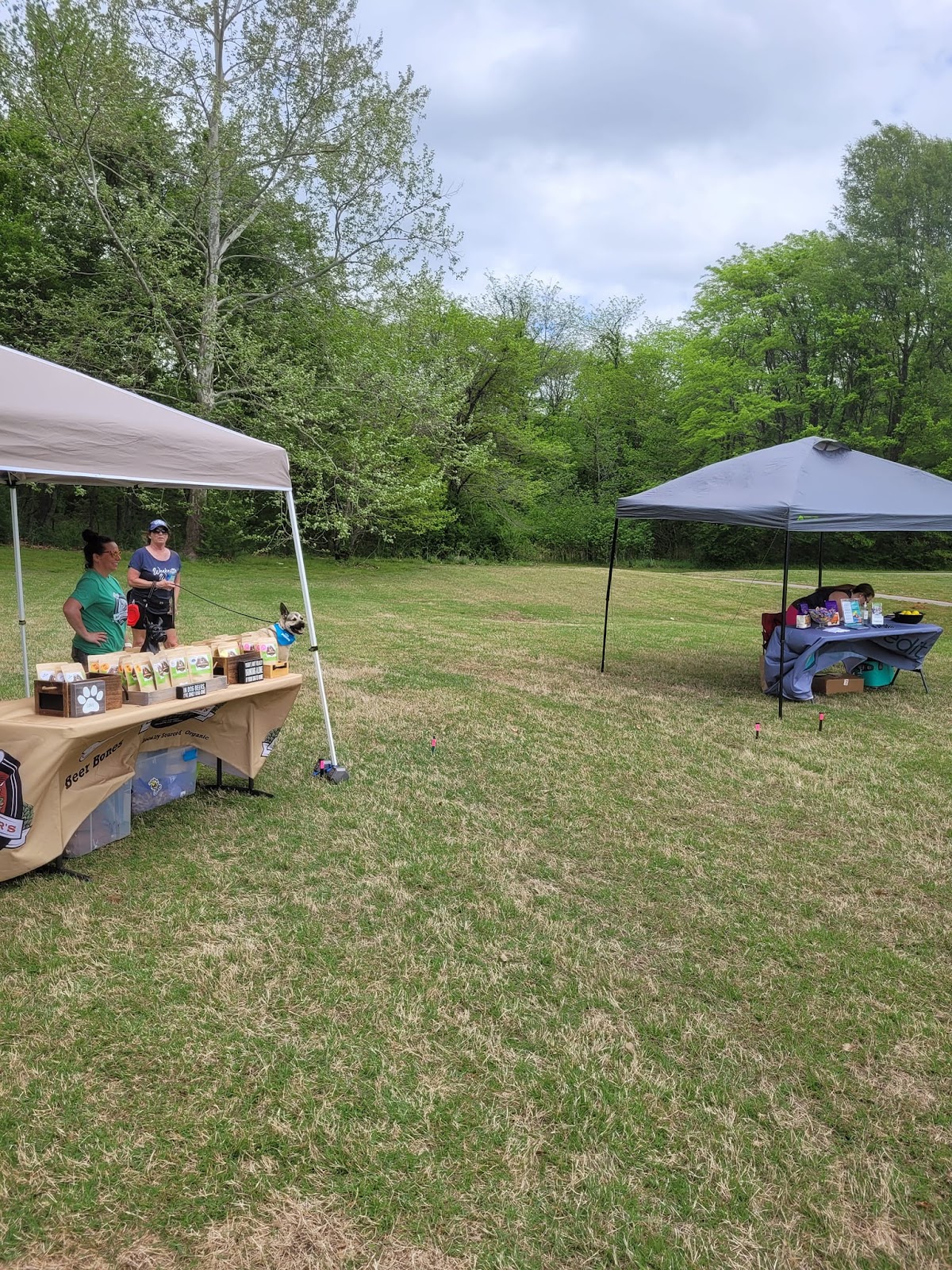 Little Stinkers Pet Waste Removal Service - Photo 2