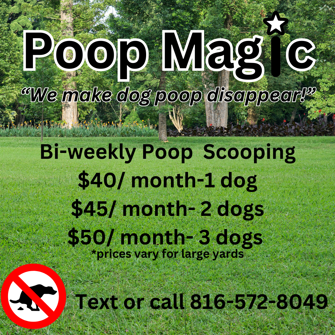 Poop Magic: Dog Waste Removal