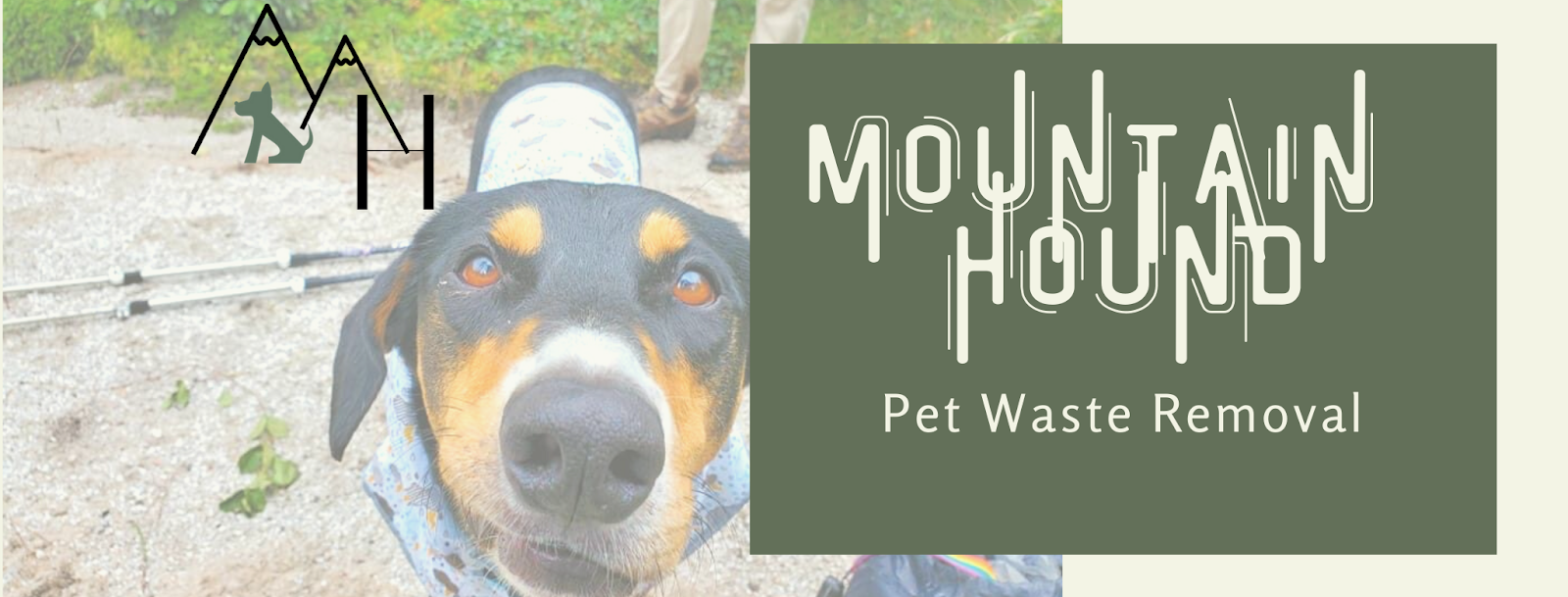 Mountain Hound Pet Waste Removal LLC