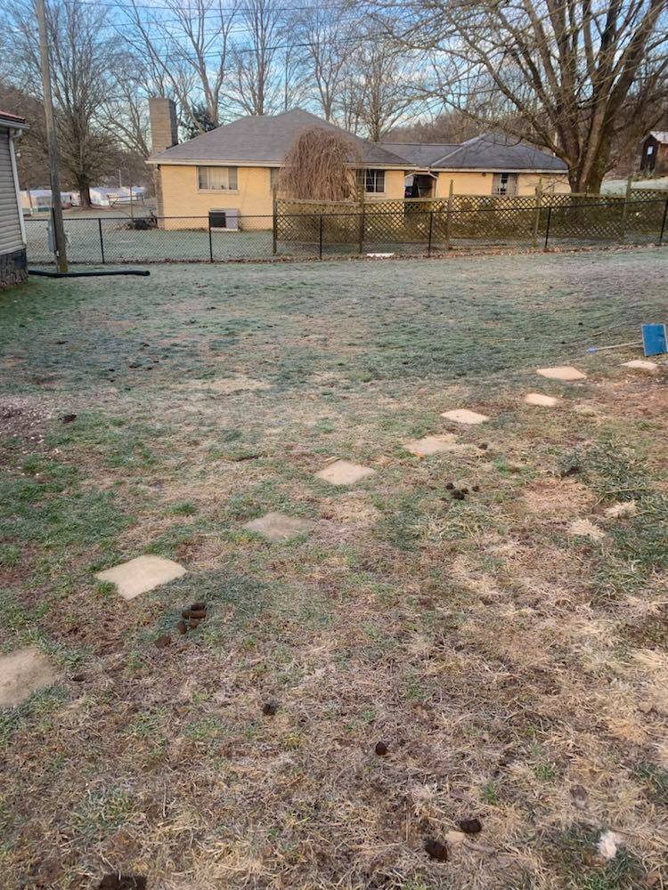 Mountain Hound Pet Waste Removal LLC - Photo 2