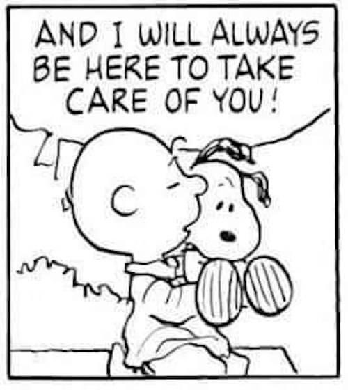 Tony’s Poop Scoop Service - Photo 3