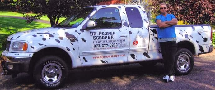 Dr Pooper Scooper