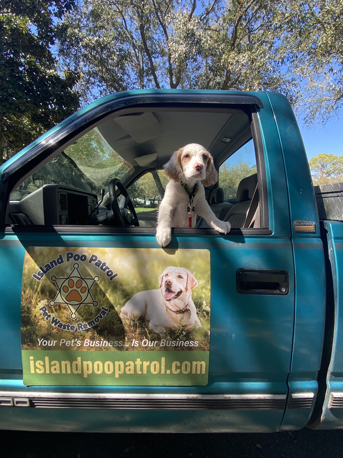 Island Poo Patrol - Photo 2