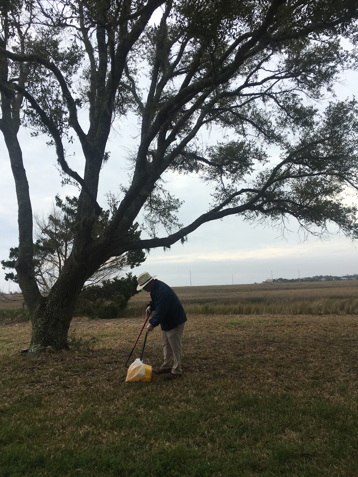 Island Poo Patrol - Photo 3