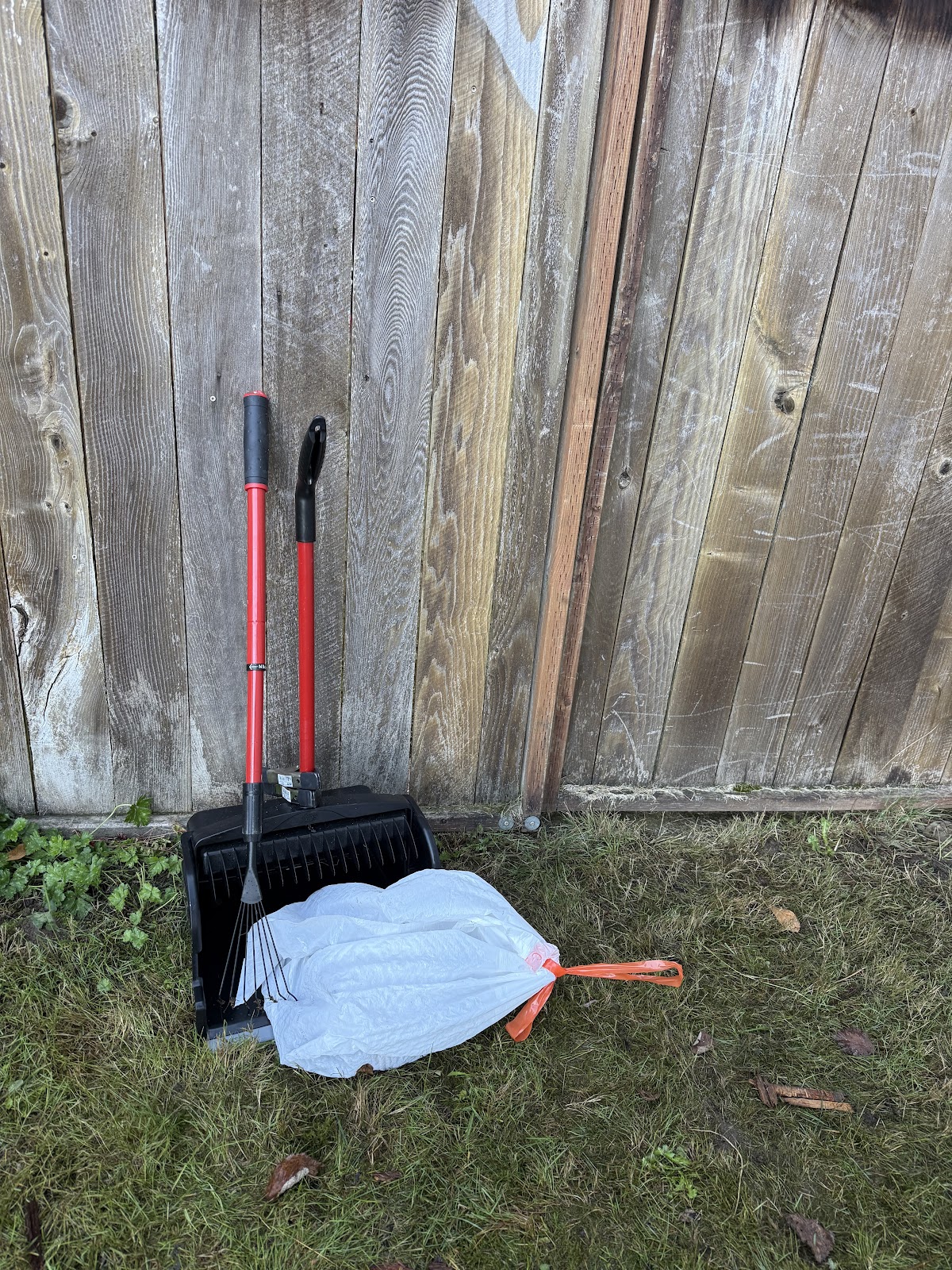 Poop Patrols - Photo 2