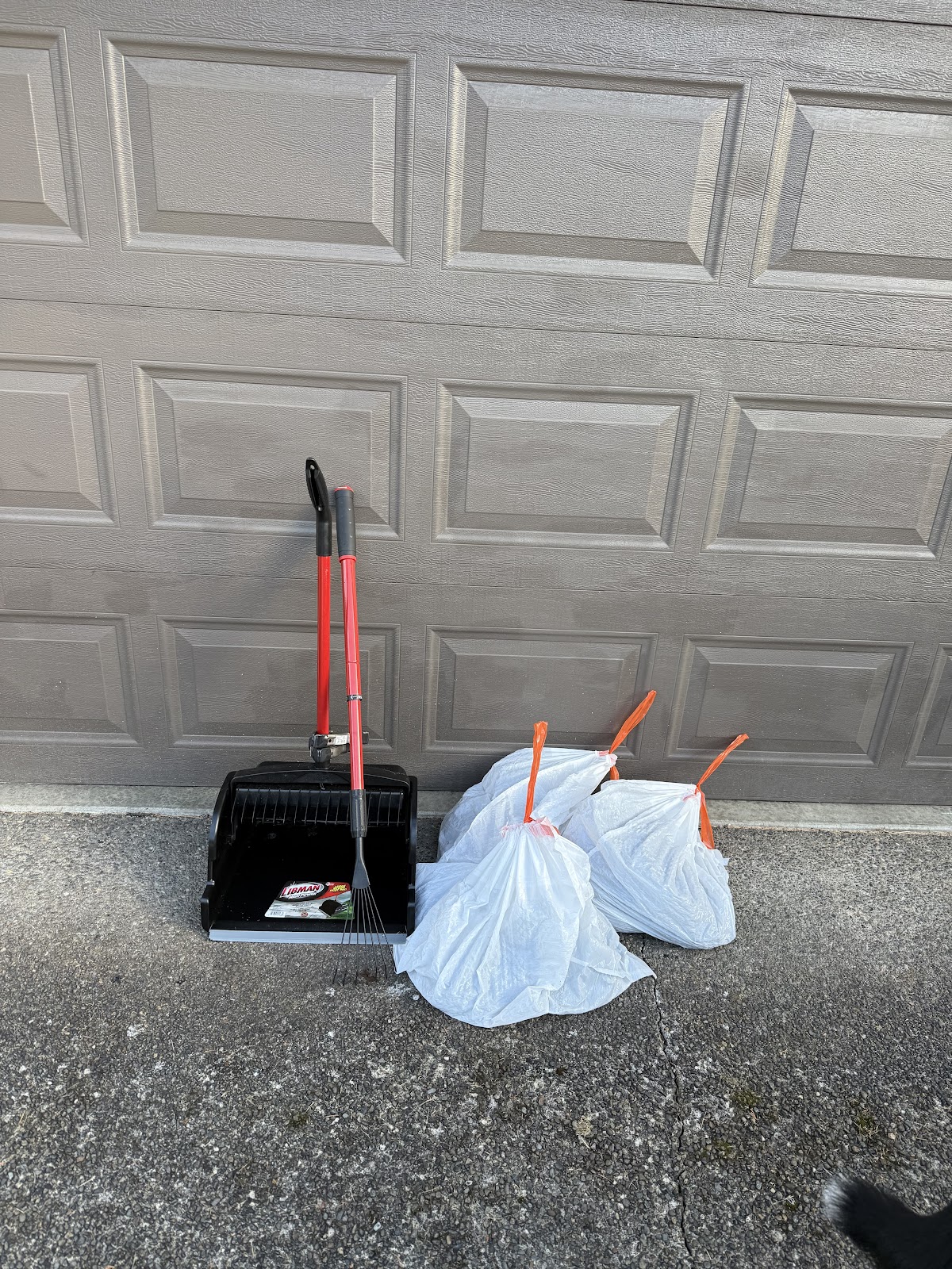 Poop Patrols - Photo 3