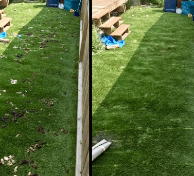 Pet Crew Number 2 - Photo 2