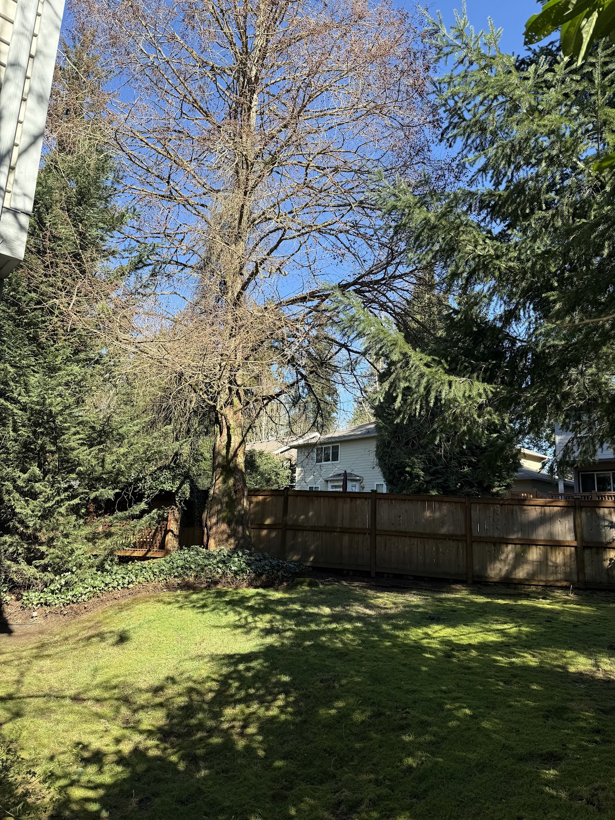 ScoopDog - Poop Pickup Services - Photo 2