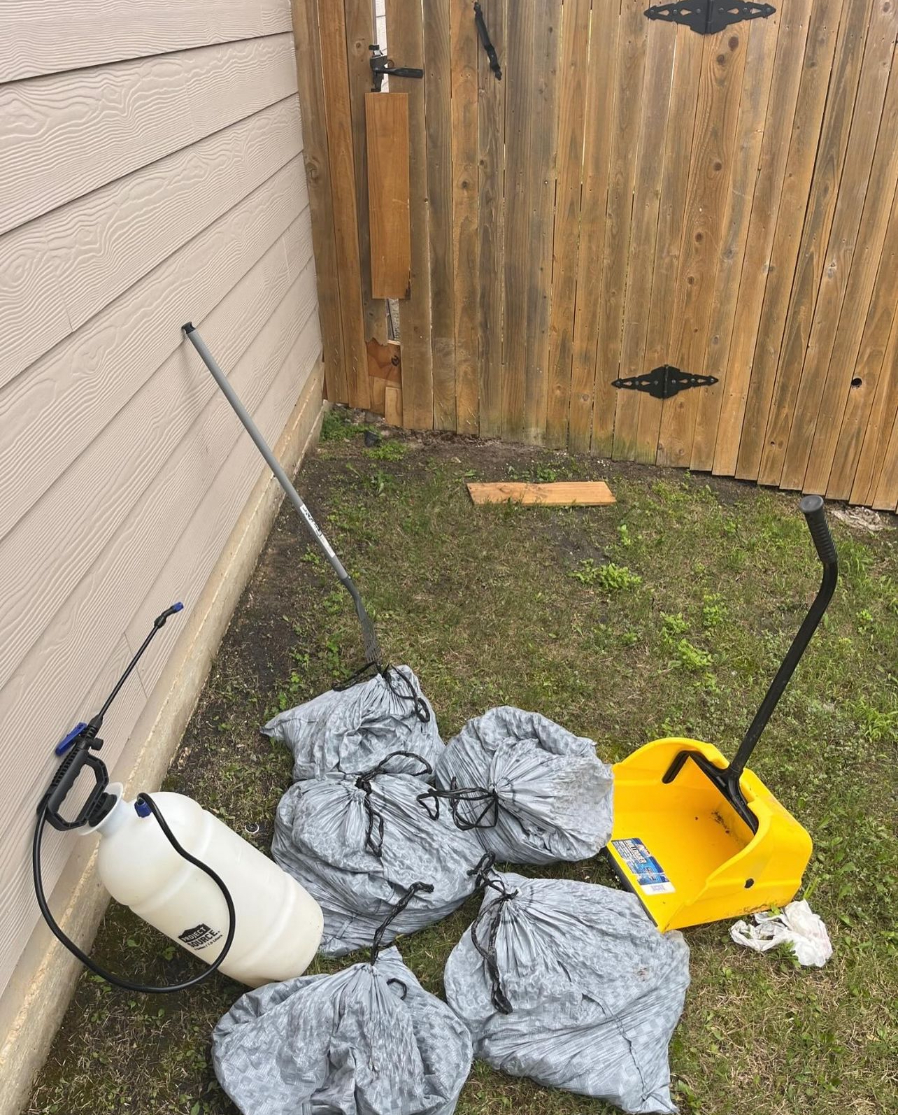 Texas Dog Waste Services