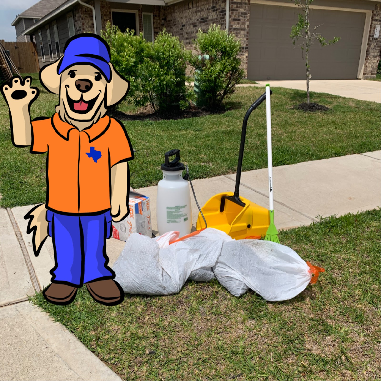 Texas Dog Waste Services - Photo 3