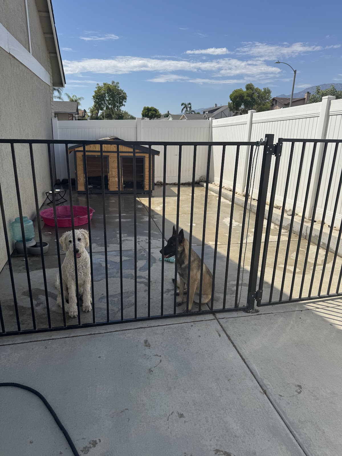 Poop Scoop Rescue - Photo 2