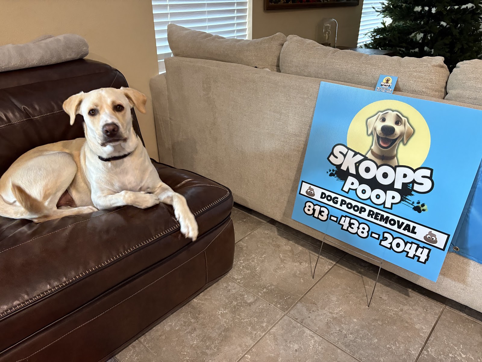 Skoops Poop : Pet Waste Removal - Dog Poop Scooper - Photo 3