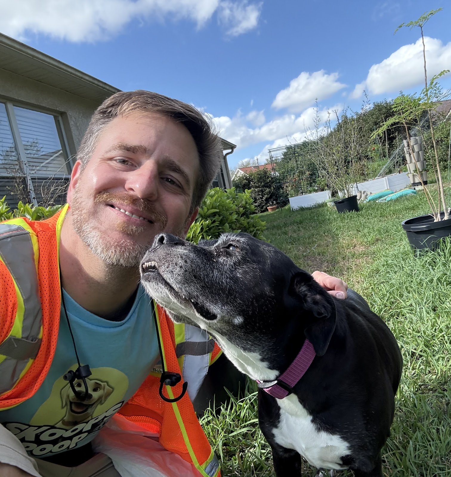 Skoops Poop : Pet Waste Removal - Dog Poop Scooper - Photo 4