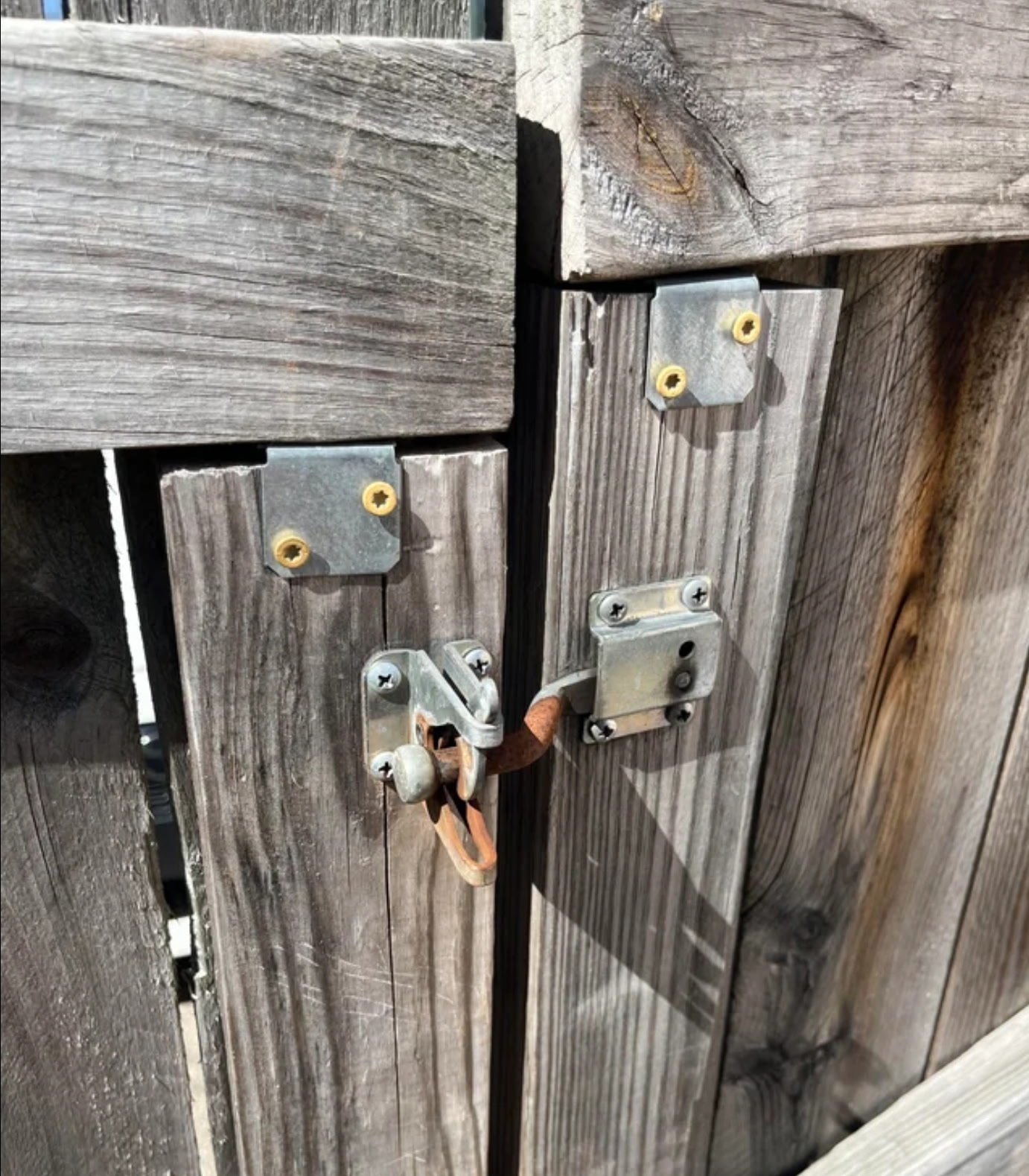 Clean Paws Scoop Service - Photo 3