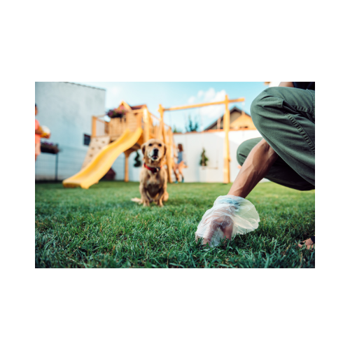 Pooper Scoopers - Photo 3