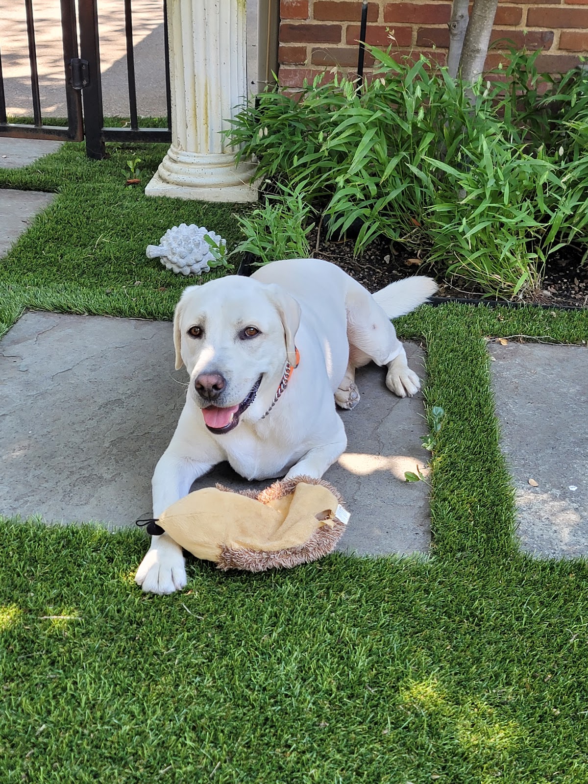 Poopie Patrol - Photo 3