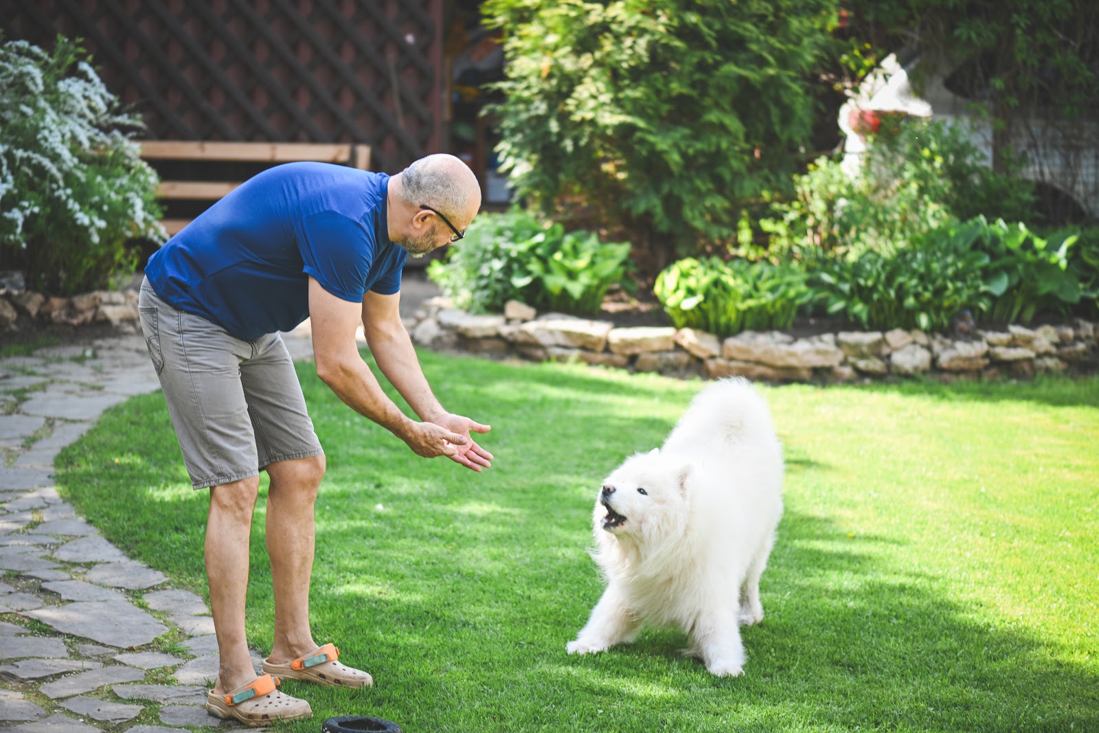 Idaho Poop Scoop Inc - Photo 2