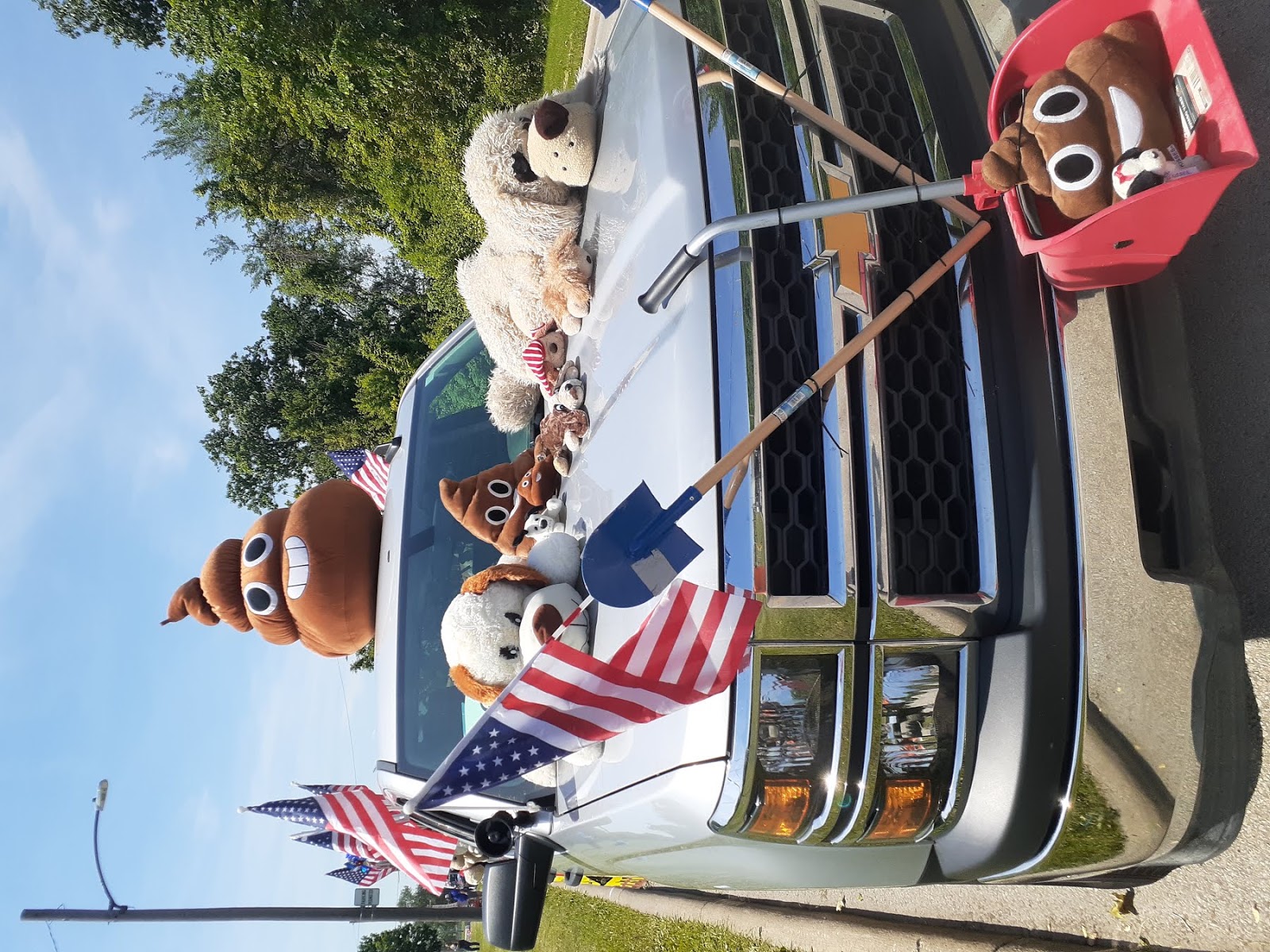 Dirty Deeds Downriver Pet Waste Removal Services - Photo 4