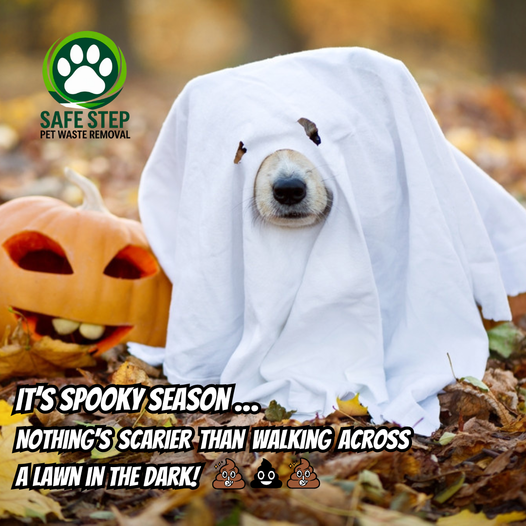 Safe Step Pet Waste Removal - Photo 2