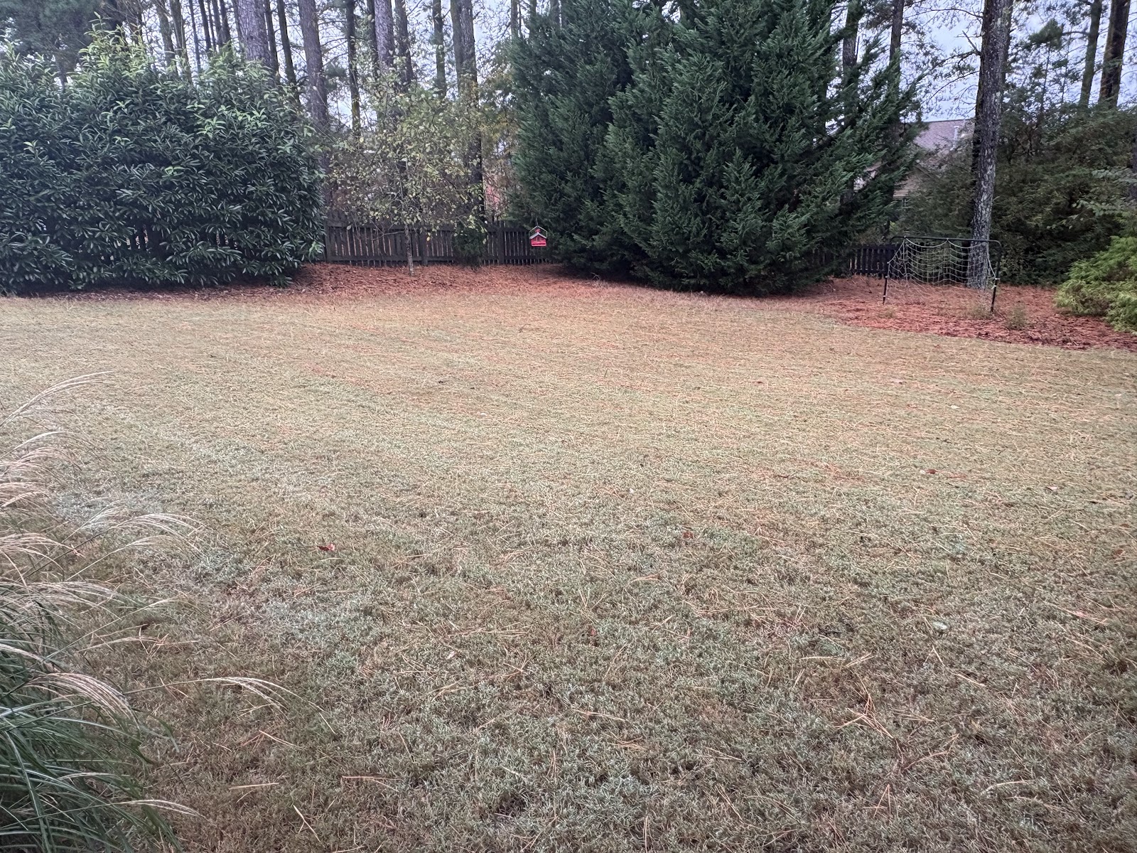 Safe Step Pet Waste Removal - Photo 3