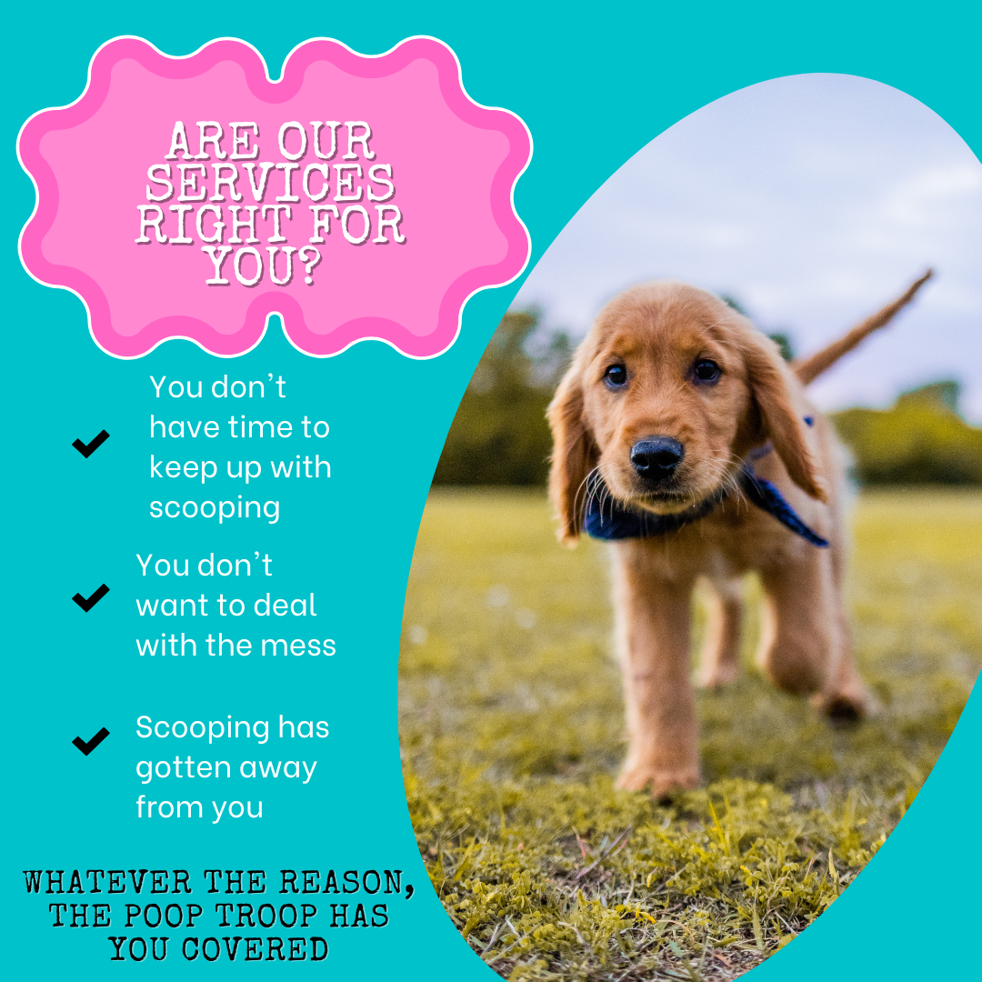 The Poop Troop Tx