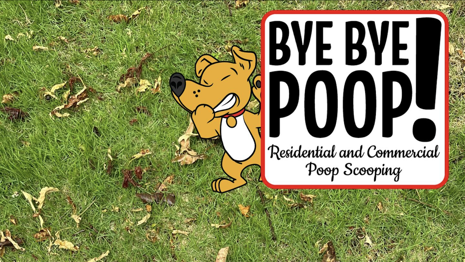 Bye Bye Poop