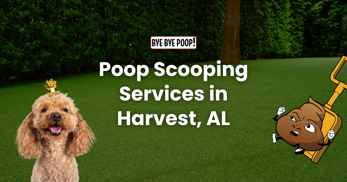 Bye Bye Poop - Photo 2