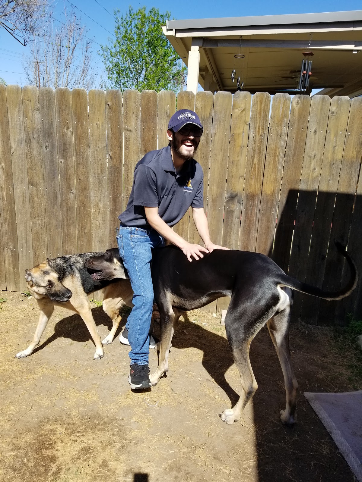 Scoop Doody Doo Pet Waste Removal