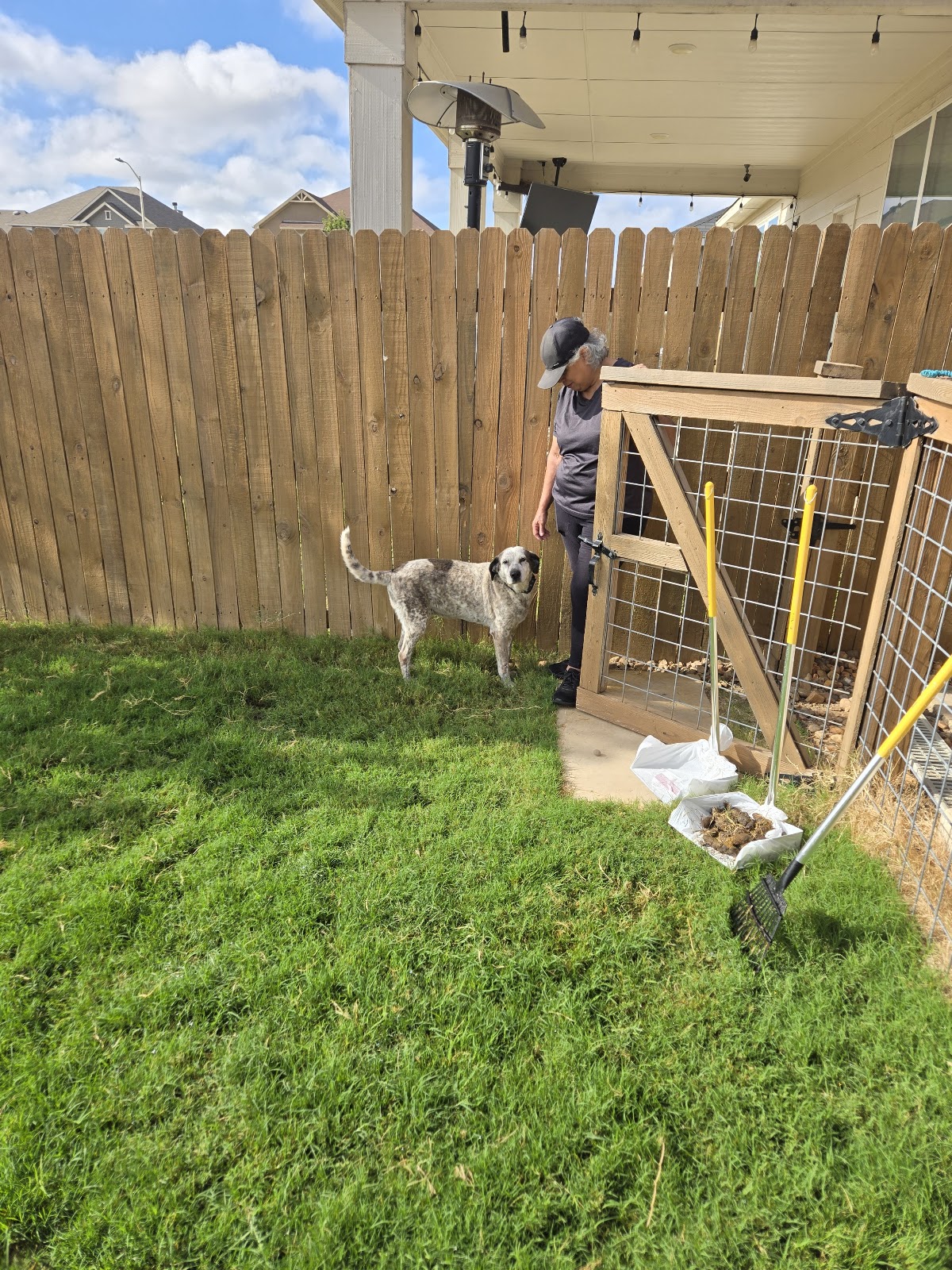 Scoop Doody Doo Pet Waste Removal - Photo 2