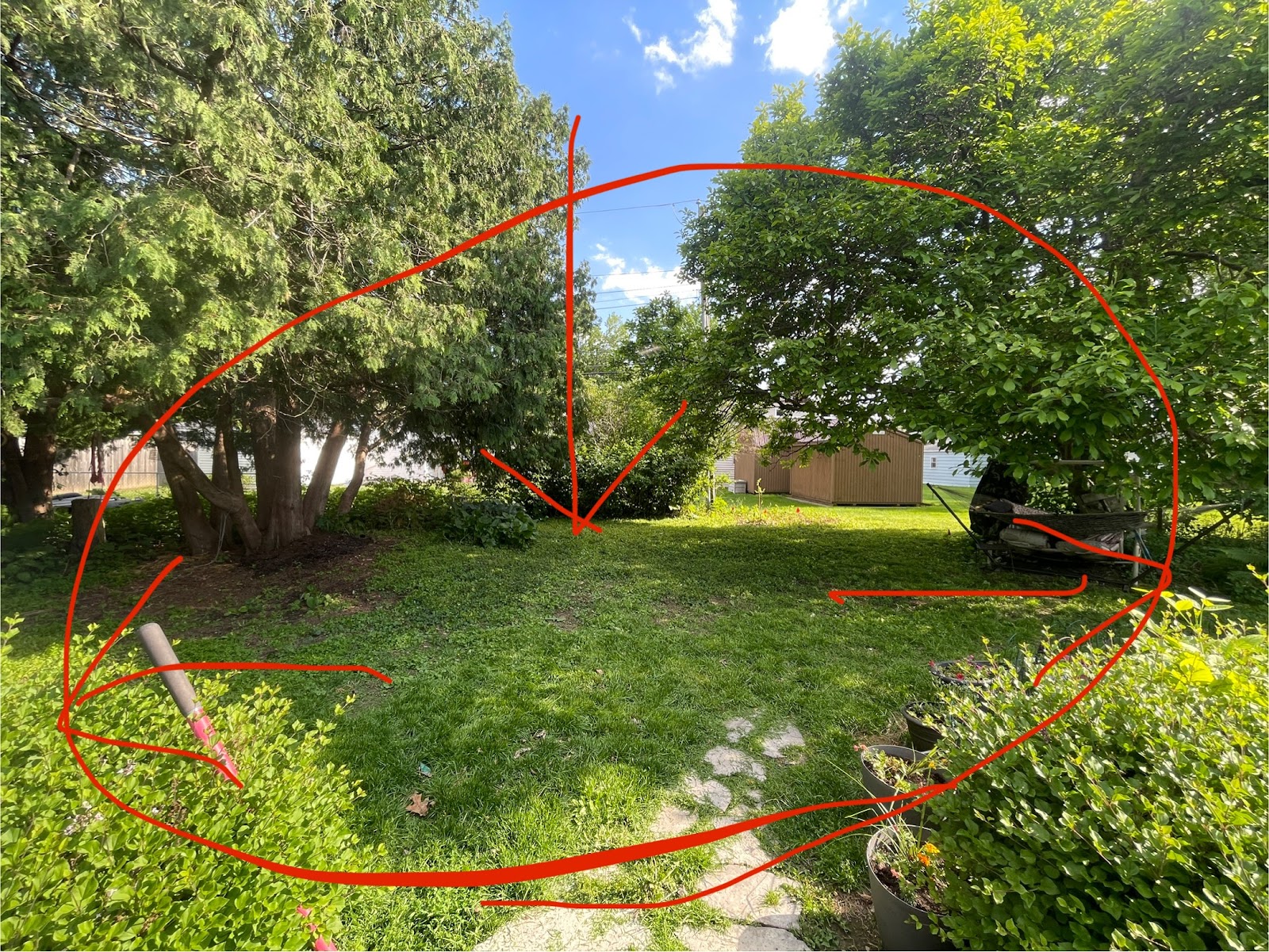 NLC Scoops - Dog Waste Removal Service - Photo 3