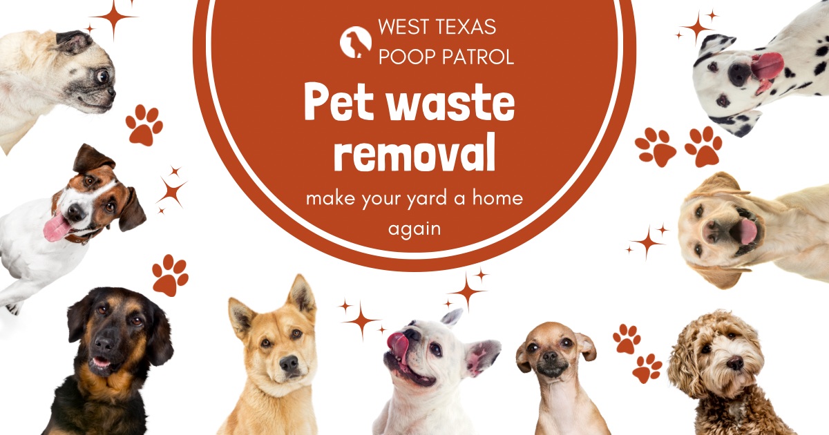 West Texas Poop Patrol - Photo 3