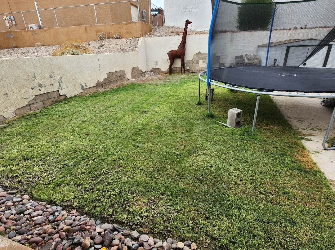 HavaScoopers | Lake Havasu Poop Scoop Service - Photo 4