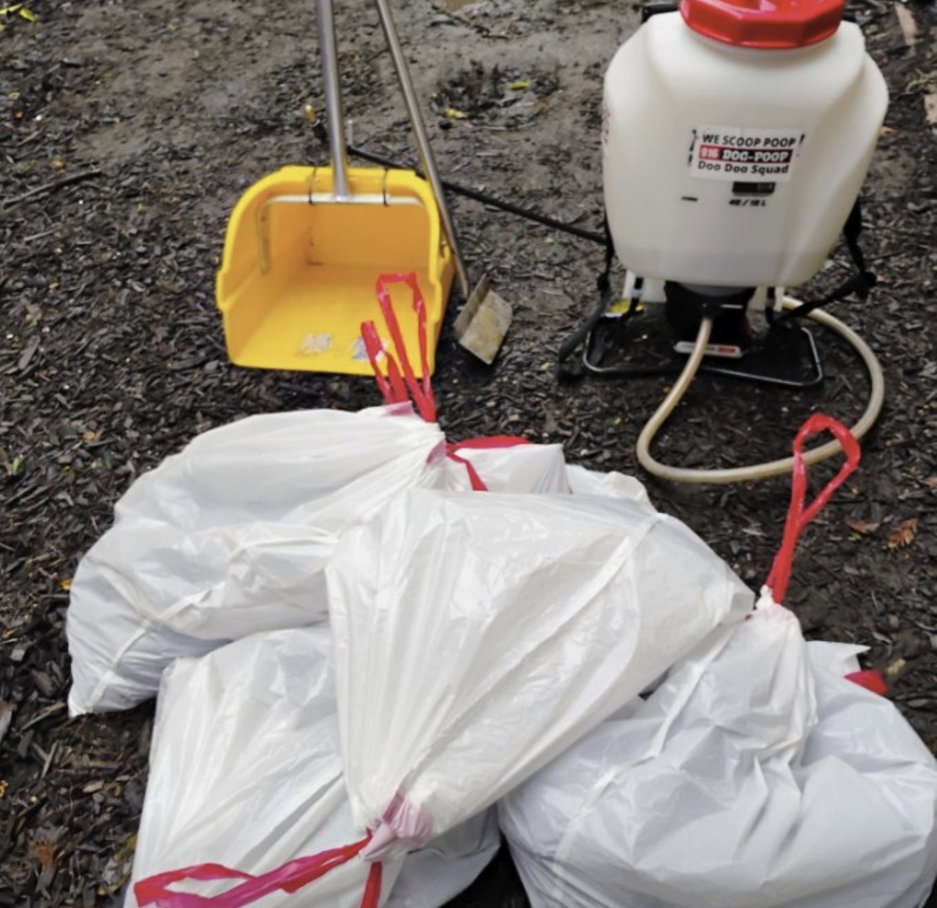 Doo Doo Squad - Photo 4