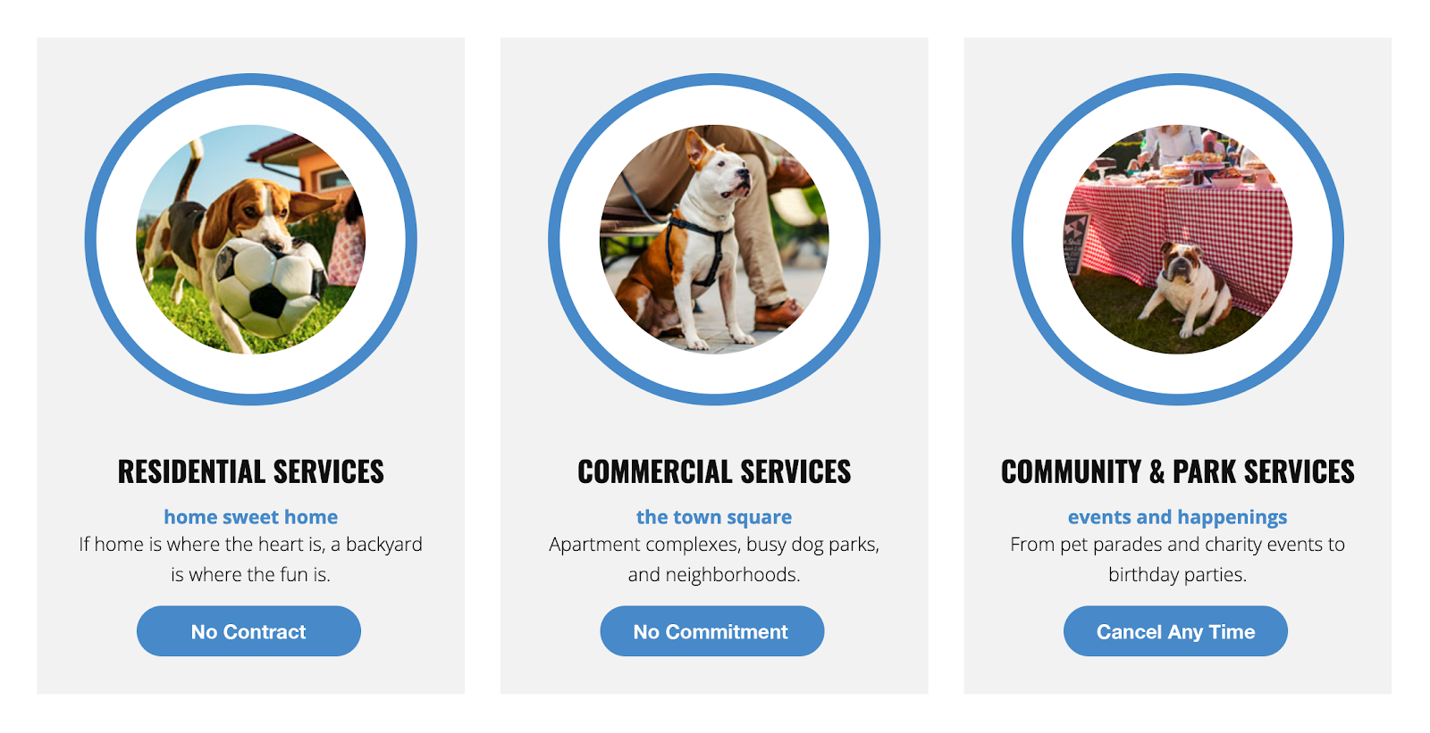 POOP 911 Port St. Lucie - Photo 2