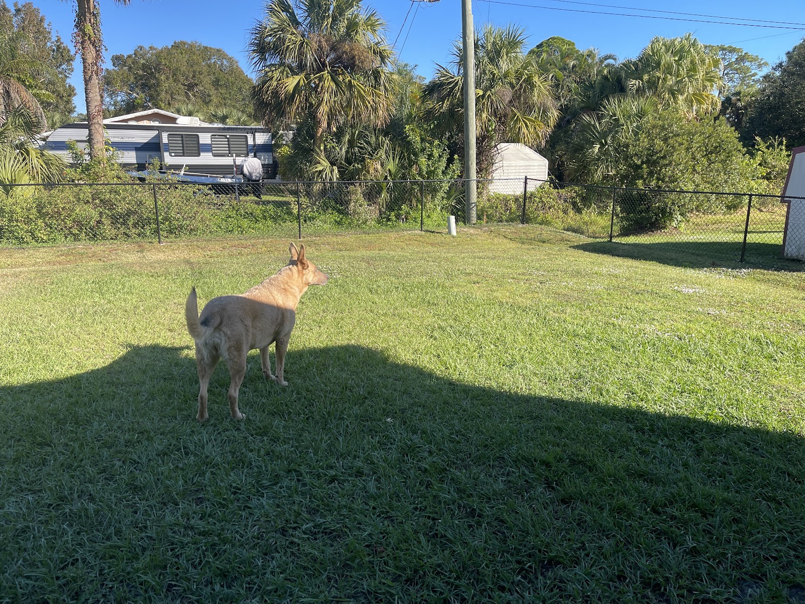 POOP 911 Port St. Lucie - Photo 4