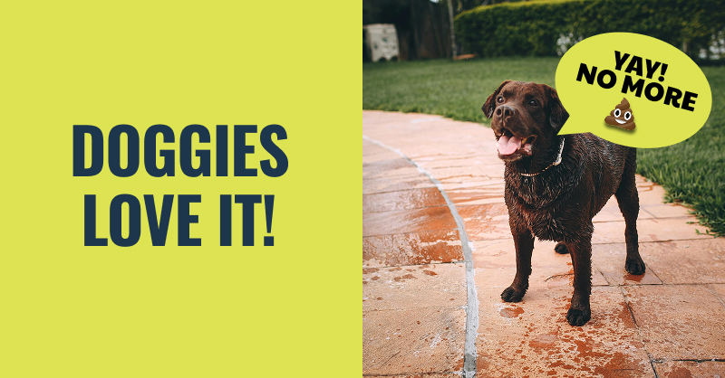 Hightail Pet Waste Removal - Photo 3