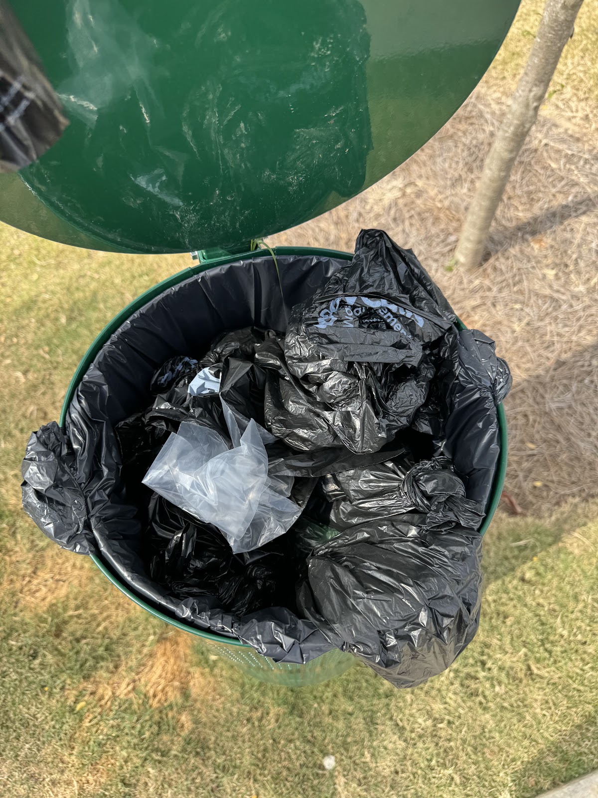 DoodyCalls of Charlotte - Photo 4